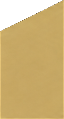 Vexilium AI